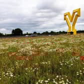 As well as improving performance, by removing the overhead line network, this work will also improve the visual appearance of the local landscape