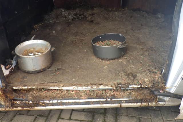 The eight dogs were kept in a filthy, faeces strewn van, causing them severe skin diseases and infections.