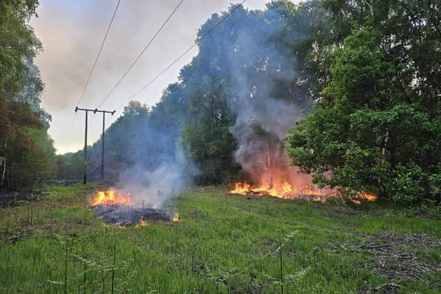 Doncaster youngsters are repeatedly setting dangerous fires in woodland near residents' homes.
