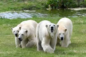 Yorkshire Wildlife Park has been named as one of Yorkshire's best attractions.