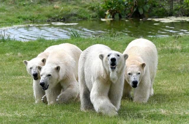 Yorkshire Wildlife Park has been named as one of Yorkshire's best attractions.