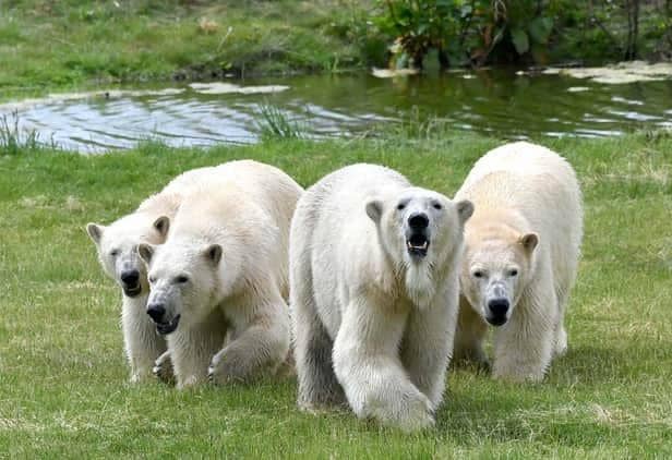 Yorkshire Wildlife Park has been named as one of Yorkshire's best attractions.