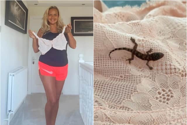 Lisa Russell found the gecko, now dubbed Barbie, in her bra as she unpacked her suitcase.
