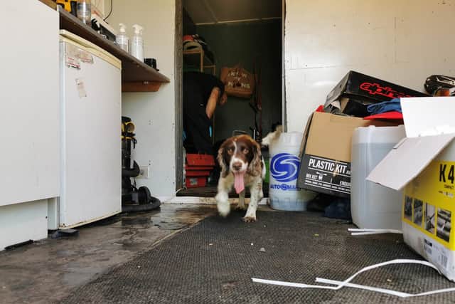 Police dog Winston searching a premises in Barnsley as part of Operation Venetic