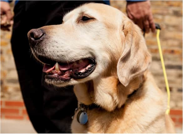 Gwendoline was a co-ordinator for Guide Dogs for the Blind.