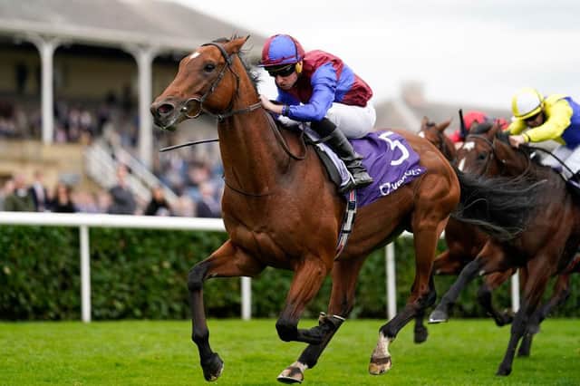 Luxembourg ridden by Ryan Moore wins the Vertem Futurity Trophy at Doncaster. Photo by Alan Crowhurst/Getty Images