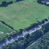A horse was knocked down on the A19 near Toll Bar this morning. It has now been destroyed by police because its injuries were too severe.