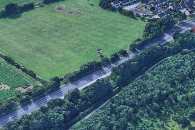 A horse was knocked down on the A19 near Toll Bar this morning. It has now been destroyed by police because its injuries were too severe.