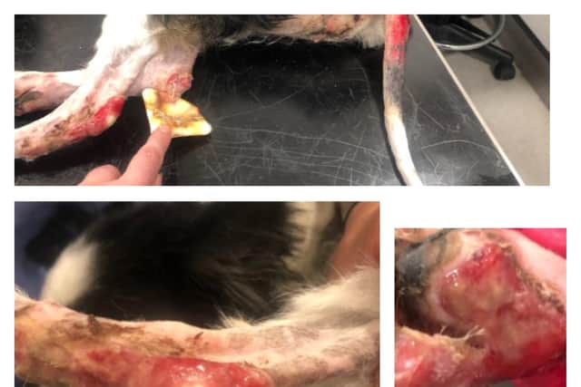 Poppy was left with third degree burns.