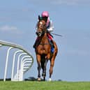 Enable, with Frankie Dettori aboard. Photo by Francesca Altoft/Pool via Getty Images