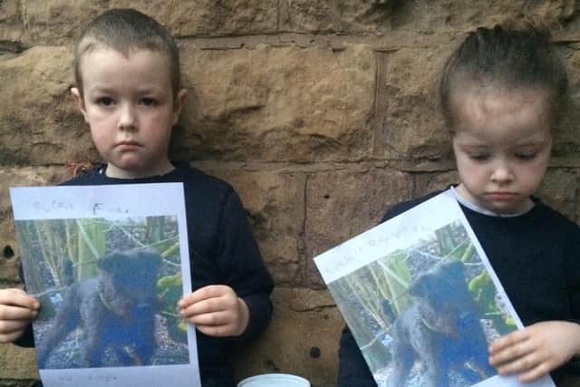 Lenny, 6 and Autumn, 5, are offering all the money in their money boxes to anybody who can help find their stolen dog Mig.