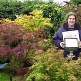 Pat Gibbons with her award winning Japanese Maples that won big at the Harrogate Autumn Flower Show in 2001.