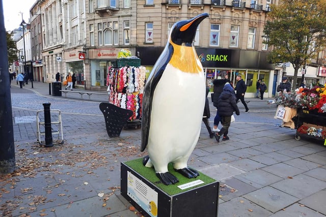 The penguins are already attracting fans in Doncaster city centre.