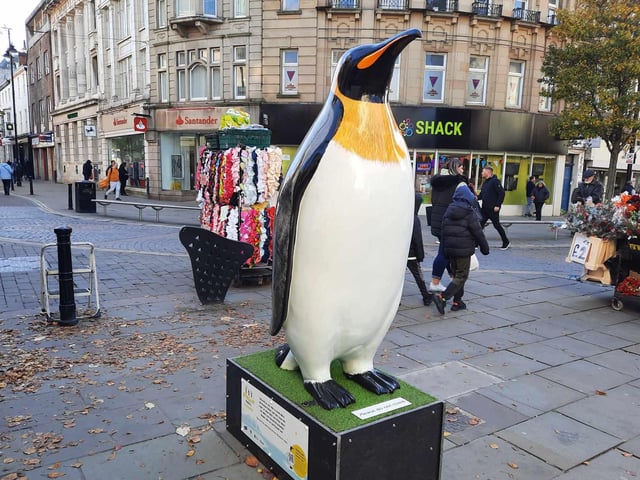The penguins are already attracting fans in Doncaster city centre.