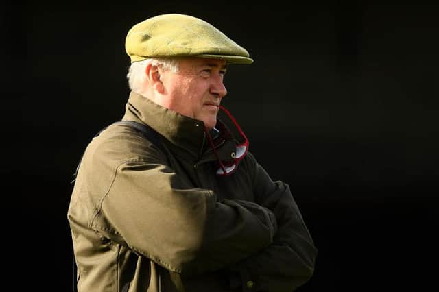 Paul Nicholls. Photo by Harry Trump/Getty Images