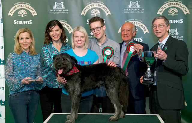 Scruffts Final winners on the third day of Crufts 2020. Pic: Sandy Young/Flick.digital