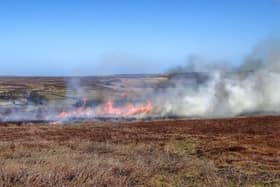 Heather Burning -Copyright Mick Garratt/geography.co.uk
