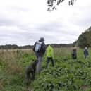 Doncaster Ramblers enjoyed a two-hour walk from Dunsville