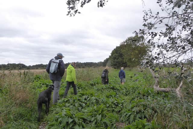 Doncaster Ramblers enjoyed a two-hour walk from Dunsville