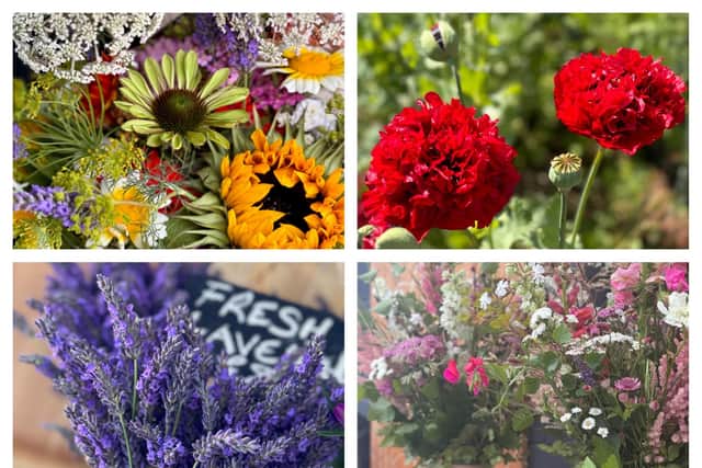 There's plenty of jobs to take care of in the garden this August.