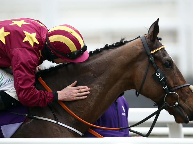 Although there have been many multiple winners at the Cheltenham Festival over the years, only an elite band of horses have won three different races. MINELLA INDO attempts to join them on Wednesday when he tackles the Glenfarclas Cross-Country Chase (4.10). Previous glories have included a memorable triumph in the 2021 Gold Cup and a 50/1 victory in the 2019 Albert Bartlett Novices' Hurdle. When you consider he was also only just chinned in the 3m chase for novices in 2020 and was runner-up in the 2022 Gold Cup, it's clear Henry De Bromhead's 11yo charge is a Festival great.