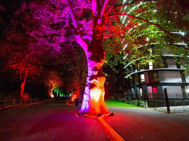 Set up being built for Rainbow in the Dark/ Enlightened Avenue in Victoria Park, Portsmouth on 17th November 2021. Picture: Habibur Rahman