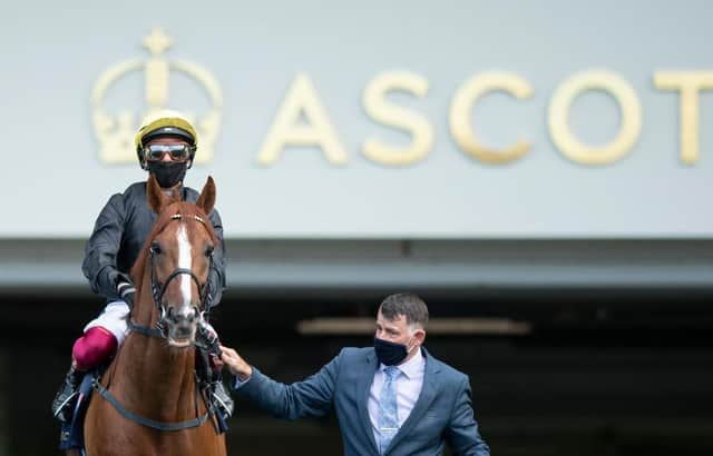Stradivarius and Frankie Dettori are led on to the course at Ascot last year. Photo by Edward Whitaker/Pool via Getty Images