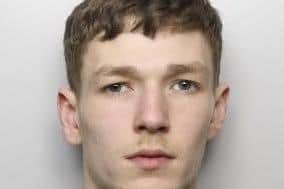 Teenage yob Benjamin McManus was responsible for a string of burglaries and car thefts across Doncaster.