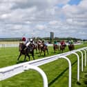 Ryan Moore riding Armor wins The Markel Molecomb Stakes during the Qatar Goodwood Festival at Goodwood Racecourse on Wednesday. Photo by Alan Crowhurst/Getty Images