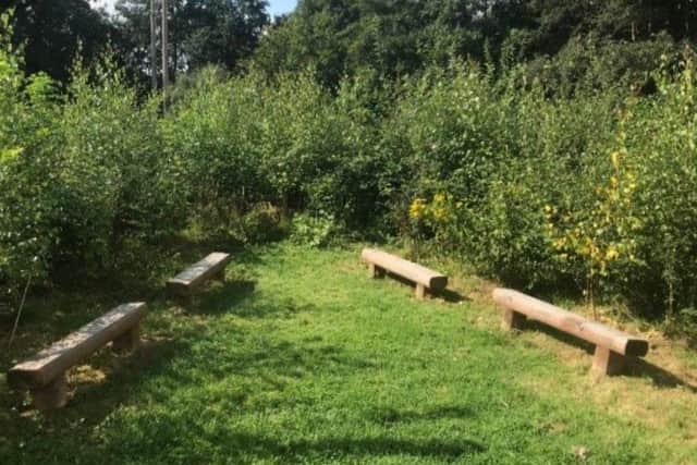 Funding will build seven Tiny Forests at Doncaster primary schools