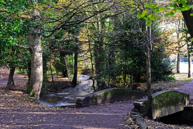 Meetings in parks are now permitted, as long as you only meet one person at a time. Picture: Marie Caley