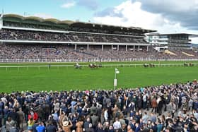 The stage is set for the 2024 Cheltenham Festival from Tuesday to Friday, with big crowds sure to relish the best Jumps racing in the world. Check out 20 of the best horses who could make the headlines.