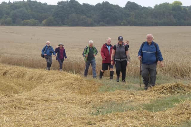 Much of the landscape post-harvest is dominated by stubble and straw