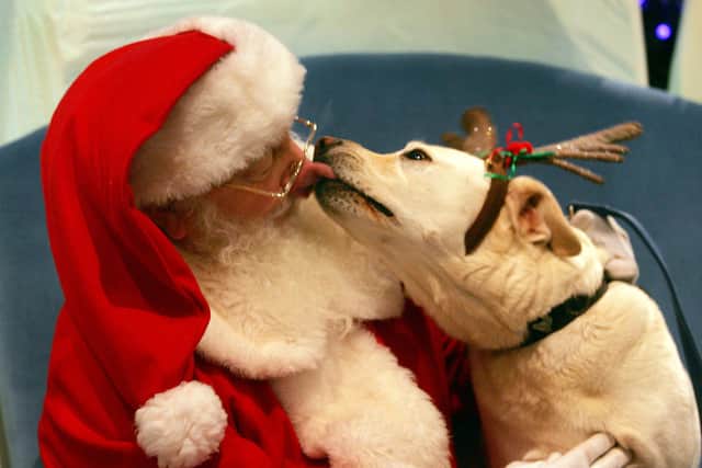 There will be a Christmas Fair on November 20.
