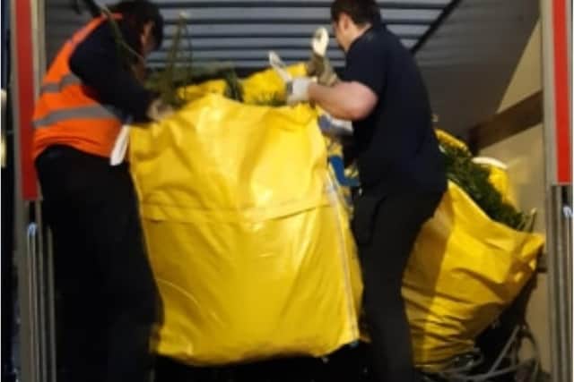 Officers load bags of cannabis into the bag of a lorry following the drugs bust.