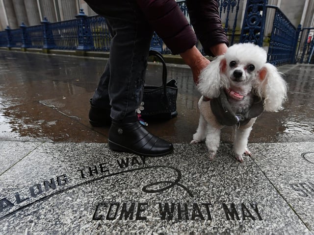 Poetic art work by Lawrence Weiner embedded into paving stones outside GoMA.
