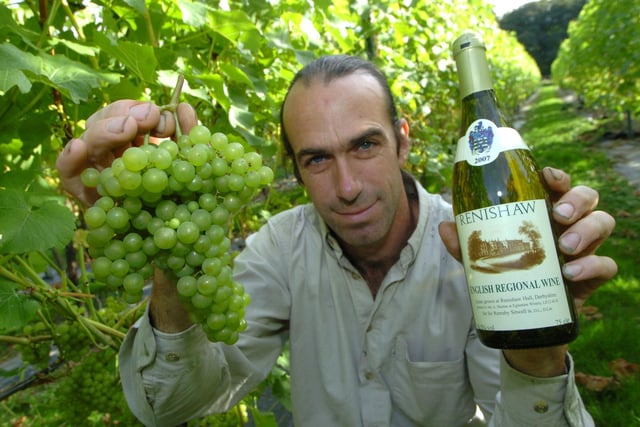 Head gardener David Kesteven in the vineyard at Renishaw Hall in 2009
