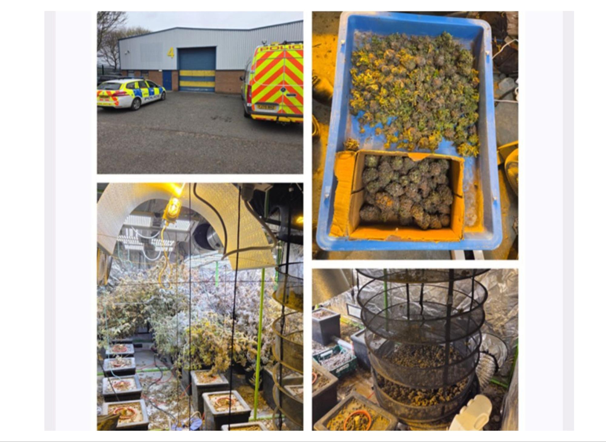 Two arrested as police uncover cannabis factory in middle of Doncaster ...