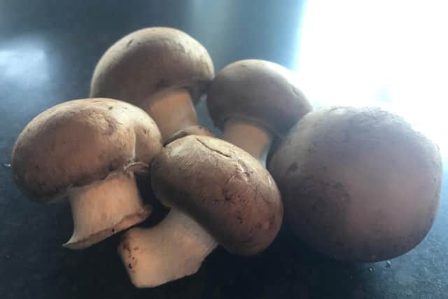 Bundle of mushrooms.