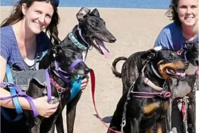 Greyhound Rescue South Yorkshire is run by Jo and Becky.