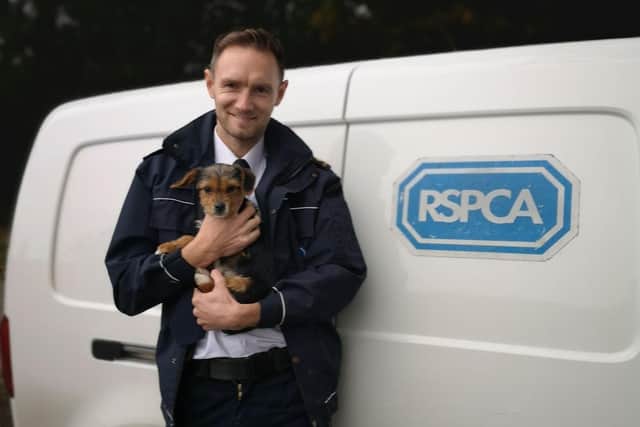 The RSPCA will be out working hard to help animals this Christmas.