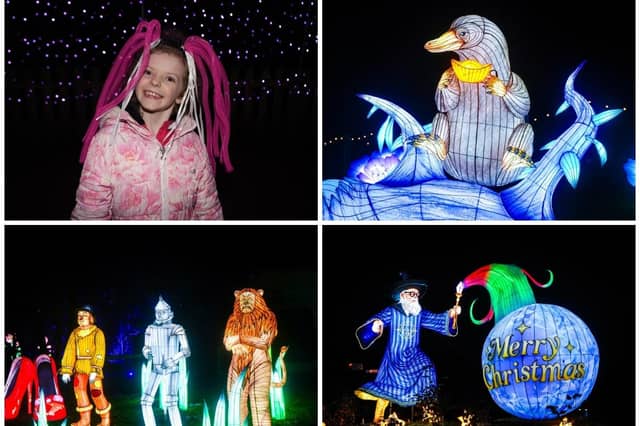 Yorkshire Wildlife Park winter illuminations 2025