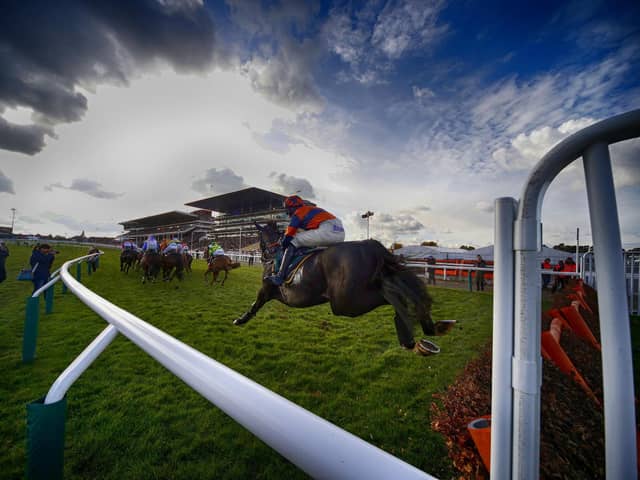 Action from Cheltenham. Photo by Alan Crowhurst/Getty Images