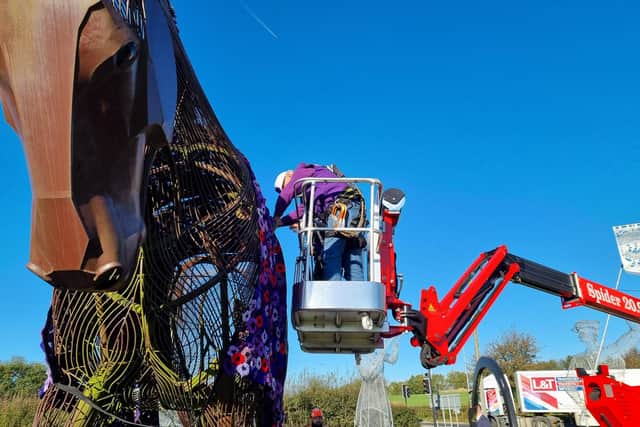 Featherstone War Horse memorial gets purple poppy coat to remember fallen service animals