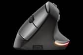 Trust Bayo ergonomic mouse
