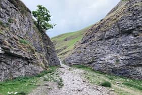 Who knows what drama took place here 60 million years ago?