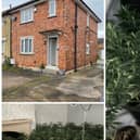 Police raid Doncaster house and seize 300 cannabis plants with a street value of £100,000.