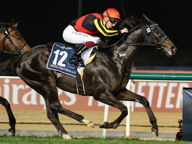 Racing-mad Japan is still waiting to break its Royal Ascot duck, but in Shahryar, they have a golden chance. The four-year-old colt is already a dual Group One winner and goes for more glory in Wednesday's Prince Of Wales's Stakes where he faces only four rivals. Arc-winning jockey Cristian Demuro exudes confidence. (PHOTO BY: Mahmoud Khaled/Getty Images)