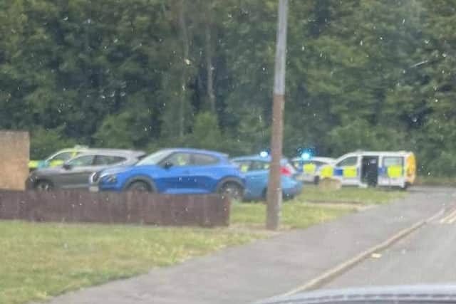 Armed police swooped on a street in Campsall.