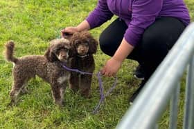 Shelina Duke hopes that this advice will help Doncaster dog owners - Animal News Agency